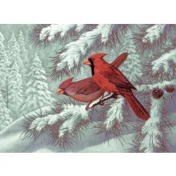   Kifestő készlet számokkal, ecsettel, felnőtteknek - 30x40 cm - Vörösbegy - Újra kapható