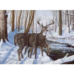   Kifestő készlet számokkal, ecsettel, felnőtteknek - 30x40 cm - Szarvasok télen