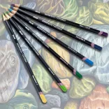 Colored pencil - Derwent Studio