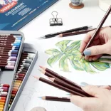 Colored pencil - Derwent Studio