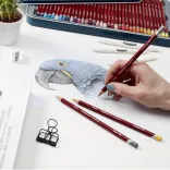 Pastel Pencil Set - Derwent Pastel Pencils 72 Tin
