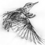 Graphite Pencil Set - Derwent Graphic Artist - SOFT