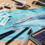 Ceruzakészlet - Derwent Inktense tintaceruza – kiszerelések: 12db, 24db; 72db