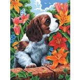 Royal & Langnickel Painting by number PCS7