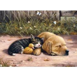   Kifestő készlet akrilfestékkel, ecsettel, gyerekeknek 11 éves kortól - 30x40 cm - Álmos nap