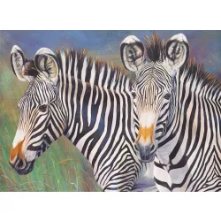   Számozott kifestő készlet akrilfestékkel, ecsettel, gyerekeknek - 30x40 cm - Számos kifestő készlet - Zebra pár