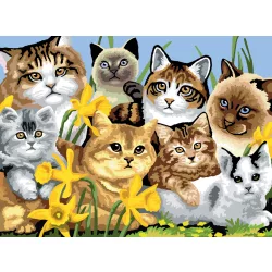   Kifestő készlet akrilfestékkel, ecsettel, gyerekeknek 11 éves kortól - 30x40 cm - Csupa cica