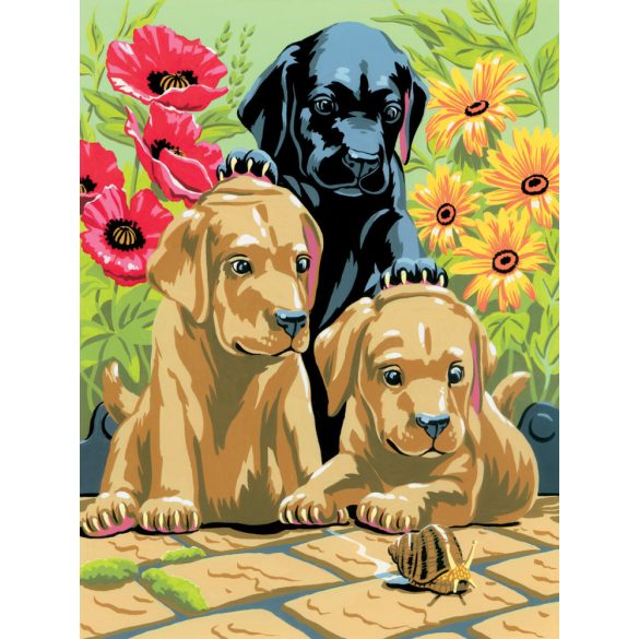 Kifestő készlet akrilfestékkel, ecsettel, gyerekeknek 8 éves kortól - 20x25 cm - Labrador kölykök