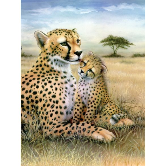 Kifestő készlet akrilfestékkel, ecsettel, gyerekeknek 8 éves kortól - 20x25 cm - Leopard