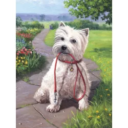   Kifestő készlet számokkal, ecsettel, gyerekeknek 8 éves kortól - 20x25 cm - Sétaidő
