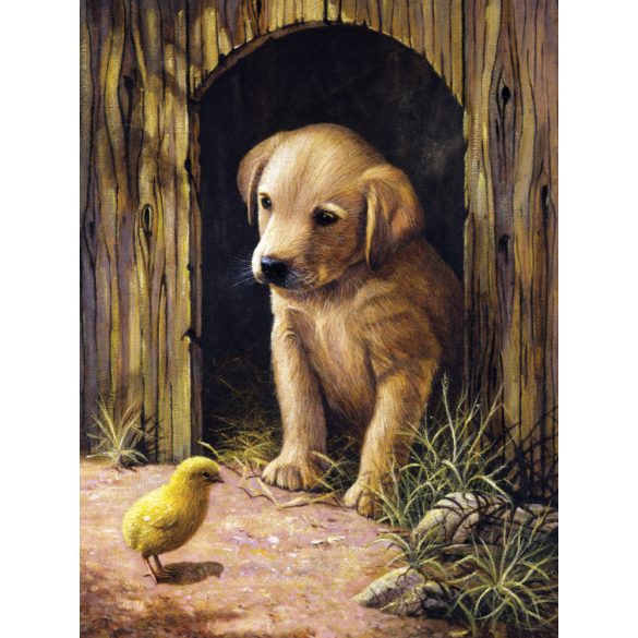 Kifestő készlet számokkal, ecsettel, gyerekeknek 8 éves kortól - 20x25 cm - Labrador kölyök