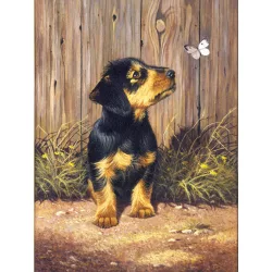   Kifestő készlet számokkal, ecsettel, gyerekeknek 8 éves kortól - 20x25 cm - Tacskó kölyök