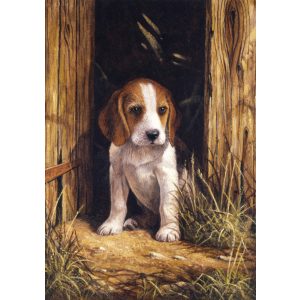 Kifestő készlet számokkal, ecsettel, gyerekeknek 8 éves kortól - 20x25 cm - Beagle kölyök