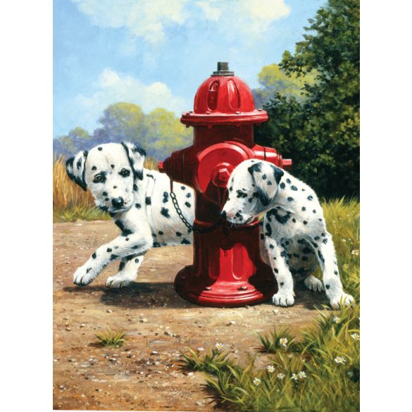 Kifestő készlet akrilfestékkel, ecsettel, gyerekeknek 8 éves kortól - 20x25 cm - Dalmata kölykök