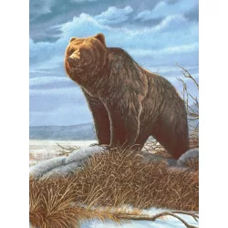   Kifestő készlet akrilfestékkel, ecsettel, gyerekeknek 8 éves kortól - 20x25 cm - Grizzly