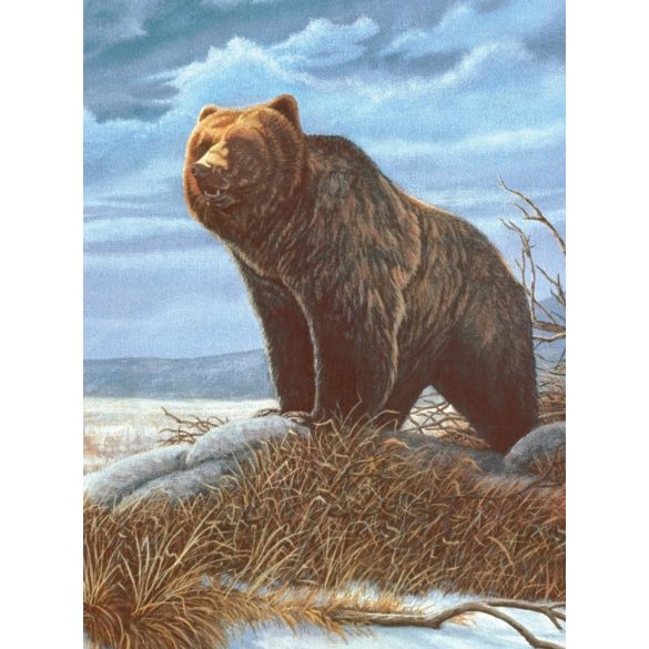 Kifestő készlet akrilfestékkel, ecsettel, gyerekeknek 8 éves kortól - 20x25 cm - Grizzly