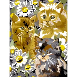   Számozott kifestő készlet akrilfestékkel, ecsettel, gyerekeknek 8 éves kortól - 20x25 cm - Cicák százszorszépek között