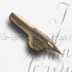 Nib, William Mitchell, chopped - drawing, calligraphy