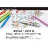 Eraser - Seed Eraser for Colored Pencils