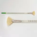 Ecset, természetes - Royal & Langnickel Soft-Grip Long Handle White Bristle Fan Paintbrush, Natural Hair - 4