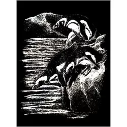 Kreatív hobby - Pingvinek