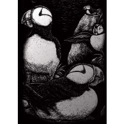   Képkarcoló készlet karctűvel - 13x18 cm - Ezüst - Sarki madár