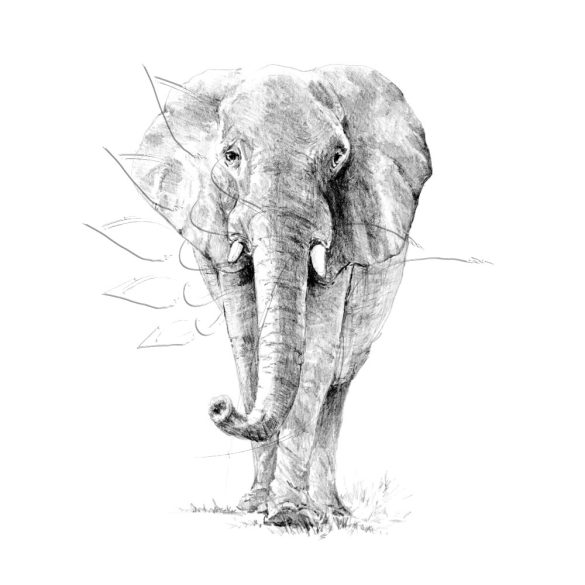 Rajzkészlet előrenyomott vázlattal - Sketching Made Easy A/4 - Elephant