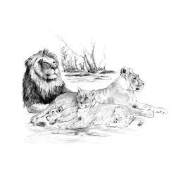   Rajztanítás - Vázlatrajz készlet kellékekkel - 40x32 cm - Oroszláncsalád