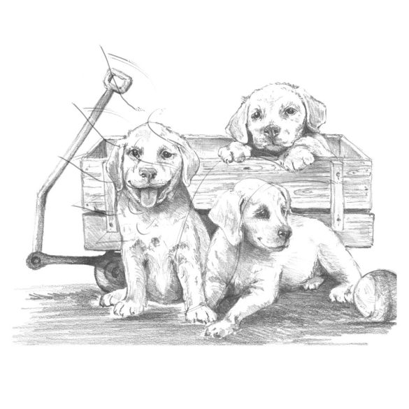 Rajzkészlet, nagy, előrenyomott vázlattal - Sketching Made Easy Large - Puppies & Wagon