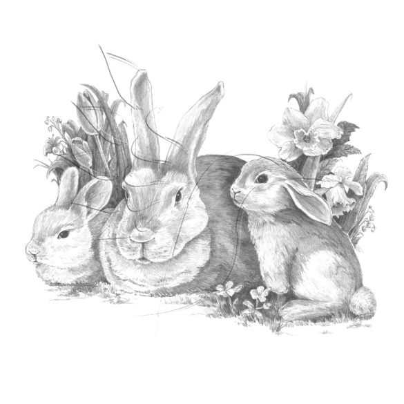 Rajzkészlet, nagy, előrenyomott vázlattal - Sketching Made Easy Large - Bunnies