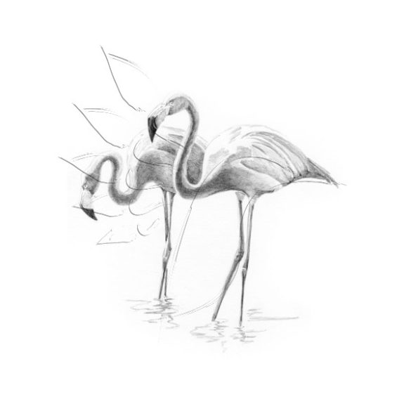 Rajzkészlet előrenyomott vázlattal - Sketching Made Easy Mini A/5 - Flamingoes