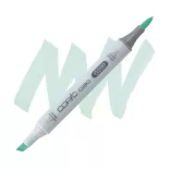 Copic Ciao Art Marker - Pale Green G000