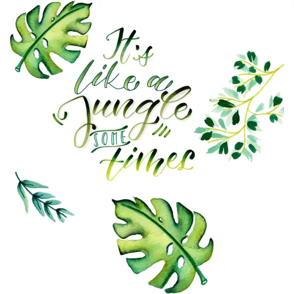 Filckészlet - Faber-Castell Goldfaber Aqua Dual Marker 6 pc- Jungle