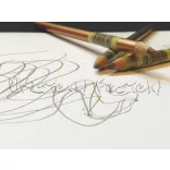Colored pencil - Derwent Studio