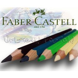 Colored pencil - Derwent Studio