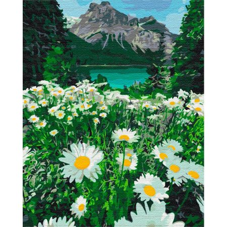 Painting by number - Brushme painting by number 40x50 - Mountain daisies