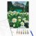 Painting by number - Brushme painting by number 40x50 - Mountain daisies