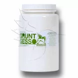 Gesso Primer