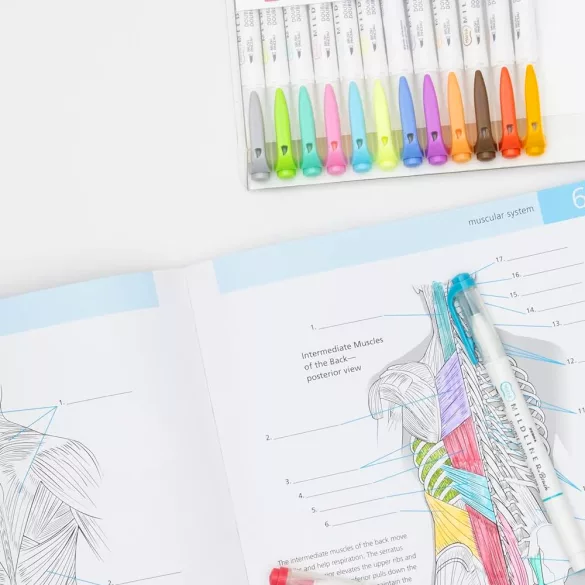 Ecsetfilc készlet, kétvégű - ZEBRA Mildliner Brush Pen & Marker in One 5pc - Cool Set