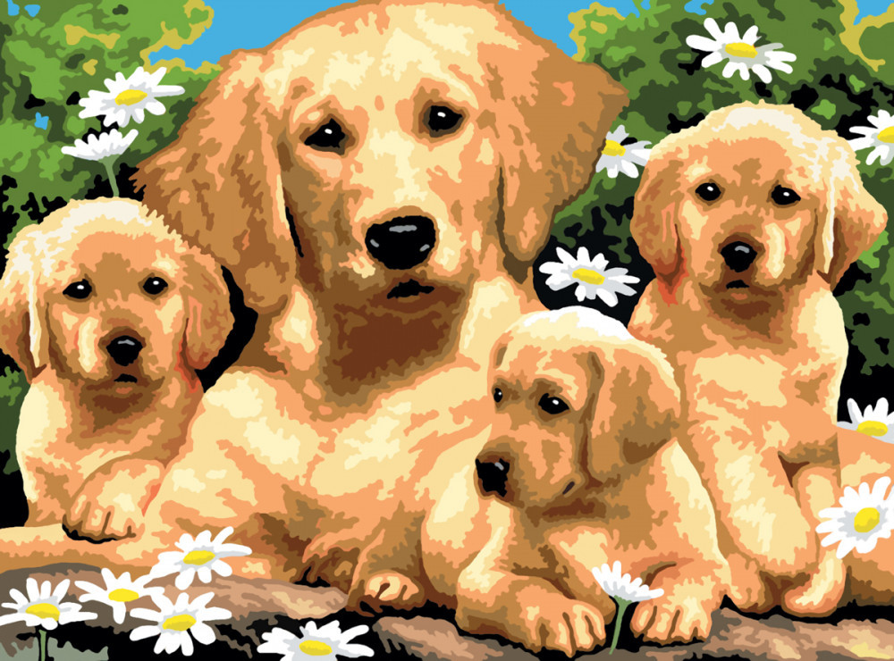 Image of Kifestő készlet akrilfestékkel, ecsettel, gyerekeknek 11 éves kortól - 30x40 cm - Gold retriever