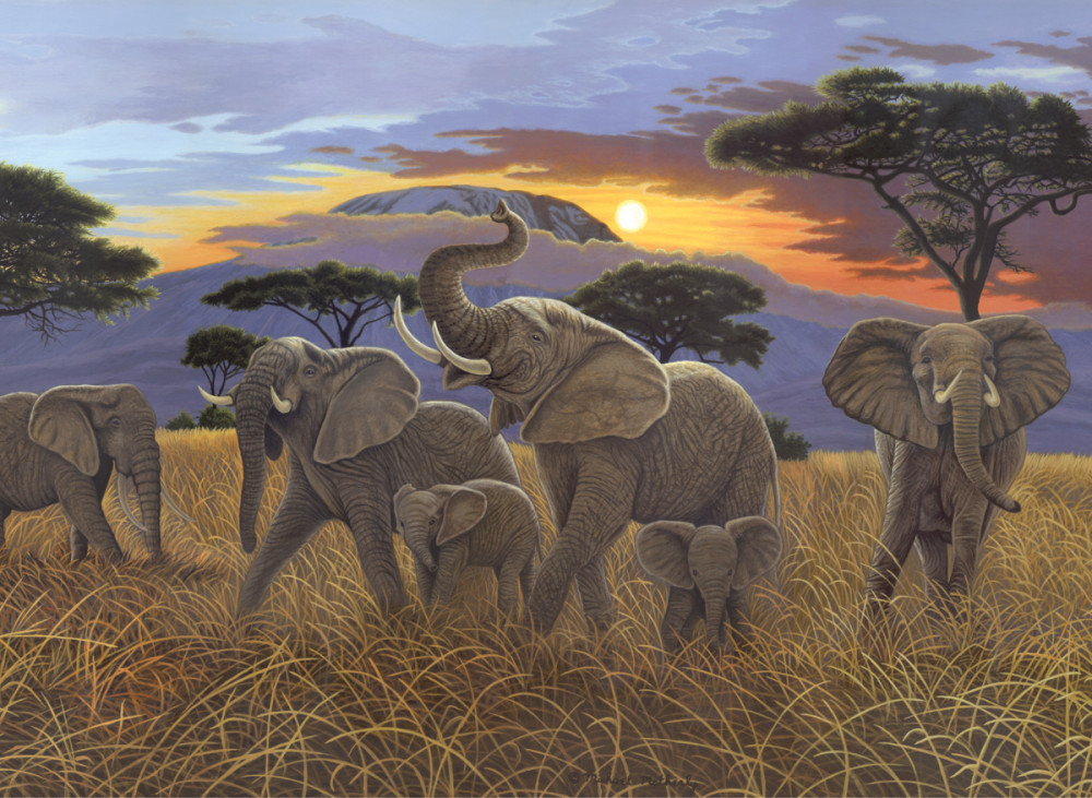 Image of Kifestő készlet akrilfestékkel, ecsettel, gyerekeknek 11 éves kortól - 30x40 cm - Kilimanjaro