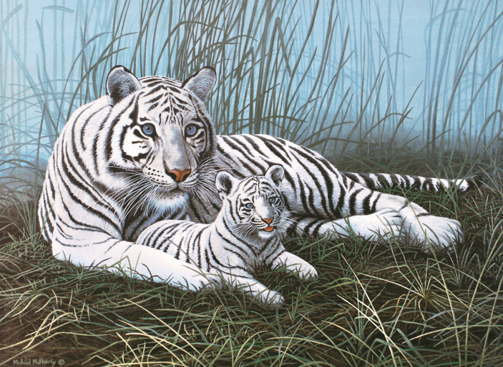 Image of Kifestő készlet akrilfestékkel, ecsettel, gyerekeknek 11 éves kortól - 30x40 cm - Fehér tigris a ködben