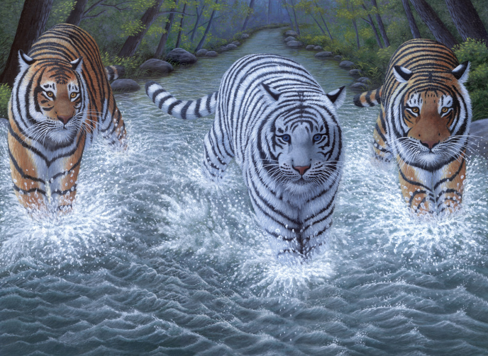 Image of Kifestő készlet akrilfestékkel, ecsettel, gyerekeknek 11 éves kortól - 30x40 cm - Három tigris