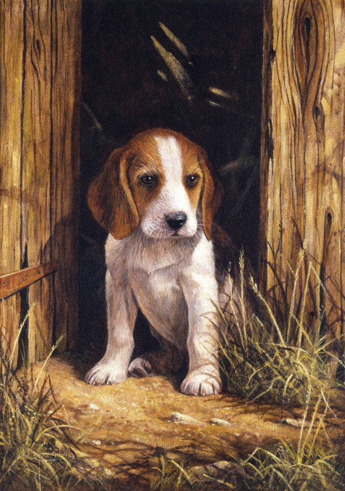 Image of Kifestő készlet számokkal, ecsettel, gyerekeknek 8 éves kortól - 20x25 cm - Kiskutya (Beagle kölyök)